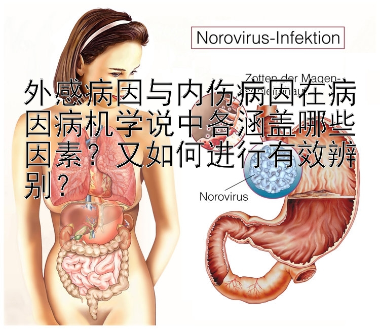 外感病因与内伤病因在病因病机学说中各涵盖哪些因素？又如何进行有效辨别？